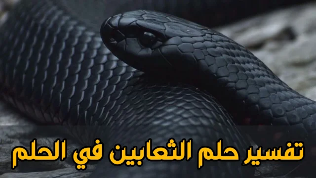 تفسير حلم رؤية الثعبان