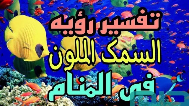 تفسير حلم رؤية السمك