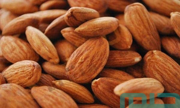 تفسير حلم رؤية اللوز